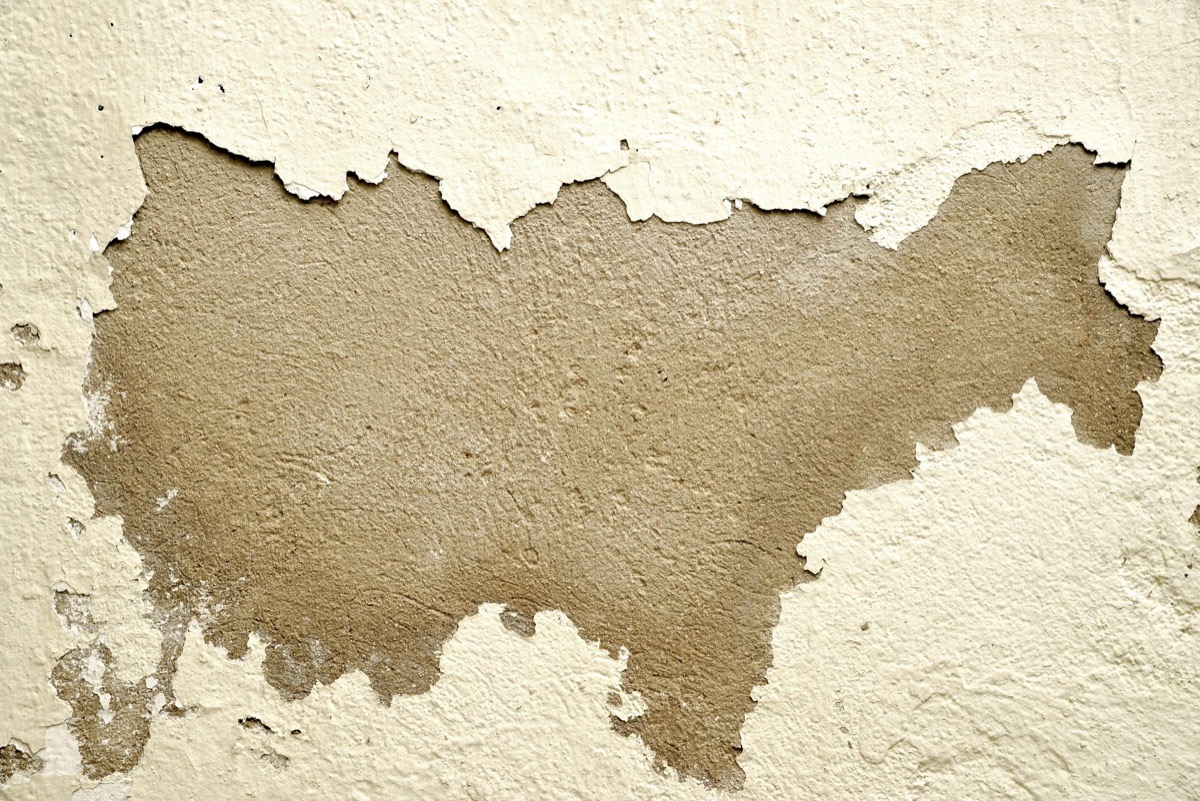Close-up of a metallic blue car fender with a section of clear coat and base paint visibly peeling, revealing the primer beneath.
