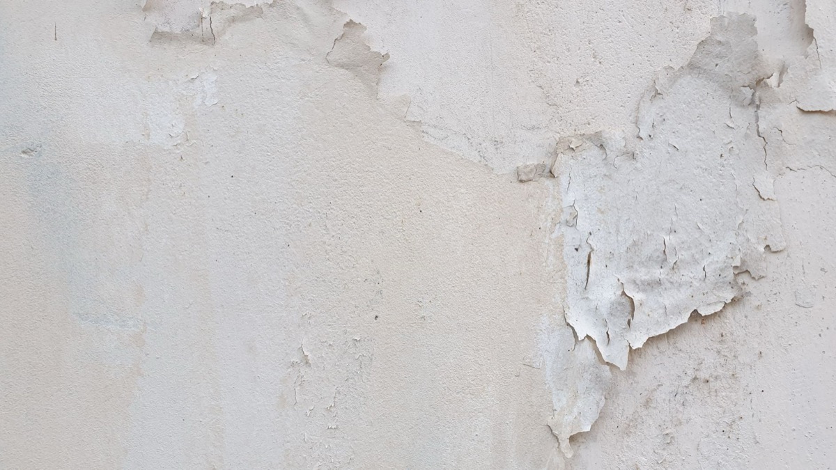 Close-up of old white paint peeling from a beige wall, revealing the underlying plaster.